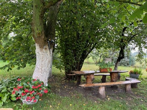 Ostoja Zapowiednicka - wypoczynek wśród lasów i natury