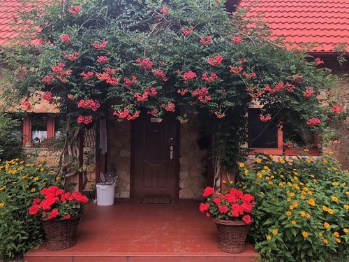 Ostoja Zapowiednicka - spokojna agroturystyka niedaleko Poznania